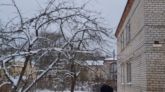 Никита кормит птичек.