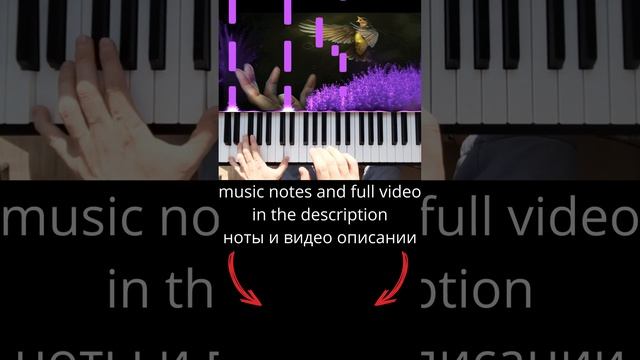 I'm So Sorry Imagine DragonsPiano Cover by Mikhail Belousov (music notes/НОТЫ в описании)