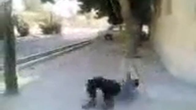 Хаха испугали смотреть онлайн