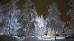 Вот как это случилось.