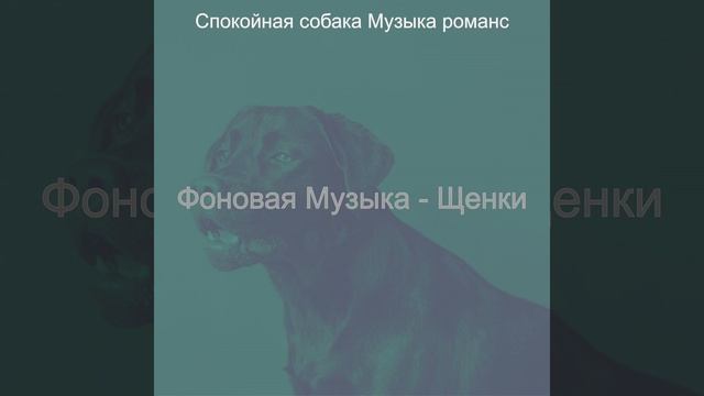 Видения (Щенки) смотреть онлайн