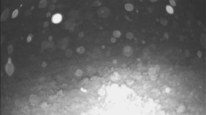 КАРЕЛИЯ. ПОДВОДНАЯ СЪЕМКА.РЫБАЛКА В КАРЕЛИИ.