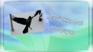 Непрошенные гости на кормушке