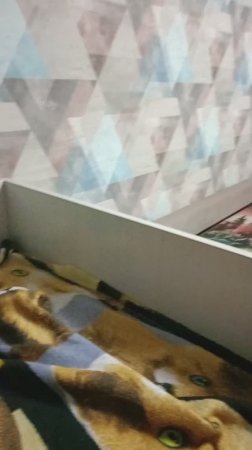 где Пикачу?