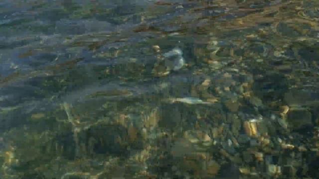 30 июня Дедеркой 2024