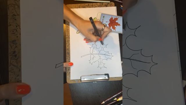 Мастер-класс по нейроскетчингу «Кленовый лист»