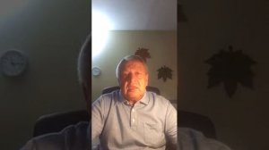 Глухо воет собака динго