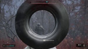 Рыжий Лес. Квест Темное Время. Находим Волкодава