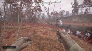 Рыжий лес. Квест Темное время. Находим тела охотников и наёмников