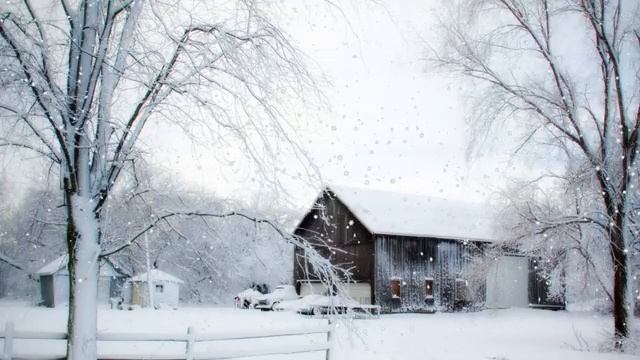 Утешайся Господом, и Он исполнит желания сердца твоего. Библия. смотреть онлайн