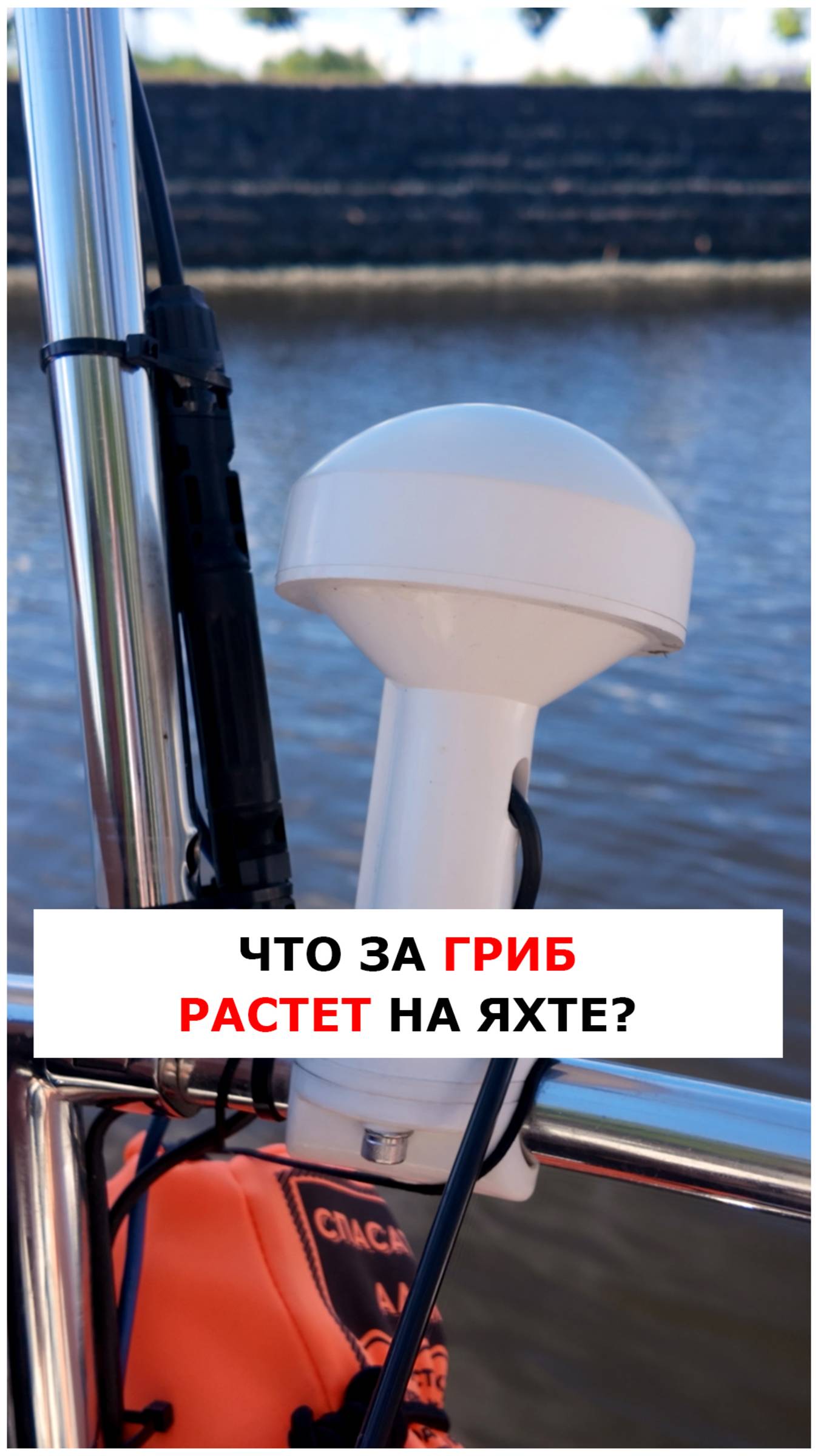 Антенна GPS гриб на яхте  #яхтинг  #видеоурокияхтинг  #обучениеяхтингу