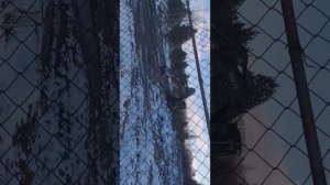 как выбирают землю и дома американцы и наши