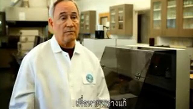 proargi9plus12 смотреть онлайн