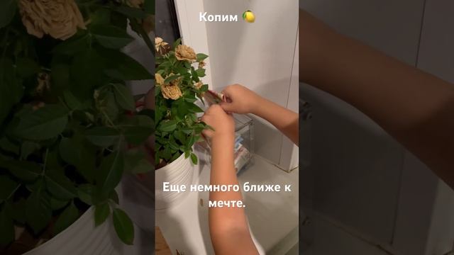 Копим миллион рублей. Как накопить миллион. Как стать миллионером. Копилка. Мотивация.Копим на мечту