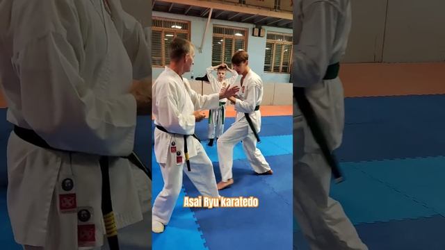 Подводящие упражнения для наработки скорости удара и ротации. #asairyu #karate #каратэ
