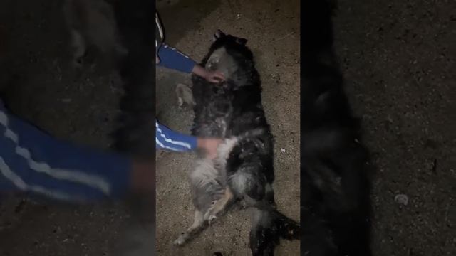 Массаж толстушки Лаймы смотреть онлайн