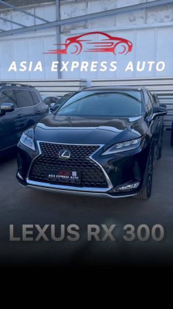 LEXUS RX 300