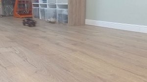 Lego самоделка: Гоночный трактор