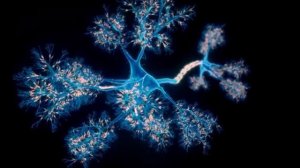 Исцеление Эндокринной Системы Звуком и Целебными Частотами!