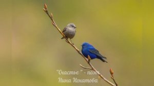 "Счастье" - стихи о смысле жизни - поэт Нина Игнатова