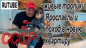 живые тропики ярославль и поход в новую квартиру