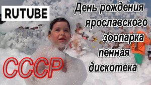 День рождения ярославского зоопарка пенная дискотека