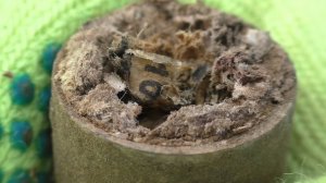 Коп как Коп. Запасы на зиму!!! Часть 2-я