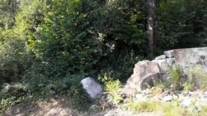 Прогулка в Карпатах