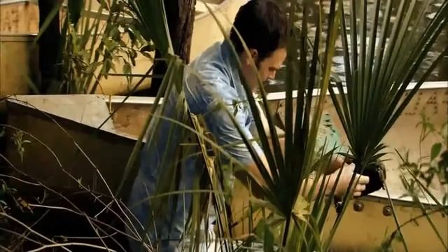 Запретная земля лучшие ужасы, самые страшные ужасы