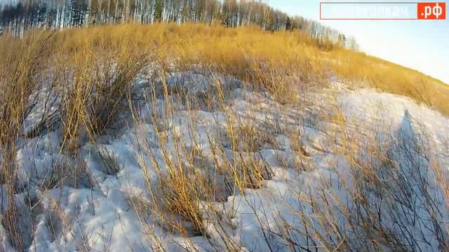 Лучший мототолкач на гусенице от снегохода 600 мм, сырой снег, прыжки, подъемы, кусты, управляем смотреть онлайн