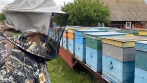 ВЫЕЗД НА КОЧЕВКУ!!!