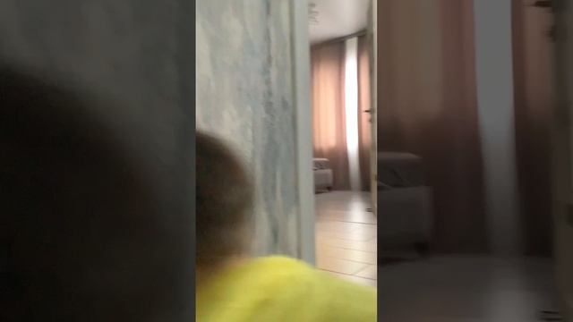 #Кошачьясемья 2