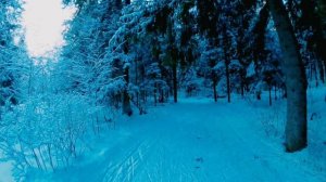 ГАБО_сегодня