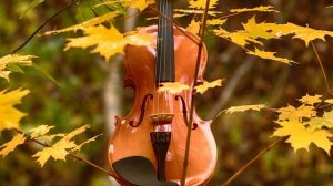 Современная классическая музыка на скрипке | Ecveezer - I Want To Hug You