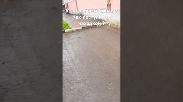 Утром перед стоматологической клиникой на тротуаре нашел деньги. Обнаружил несколько купюр пяти тыс