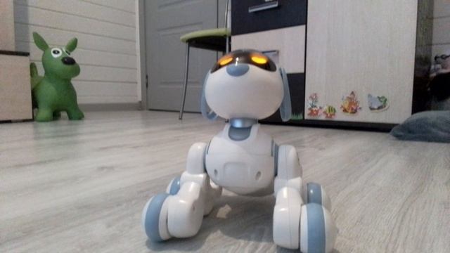 робопёс