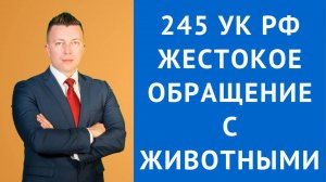 Адвокат по Уголовным Делам в Москве: Статья 245 УК РФ - Жестокое Обращение с Животными