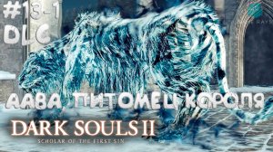 Dark Souls II: Scholar of the First Sin #13-1 ➤ Аава, питомец короля