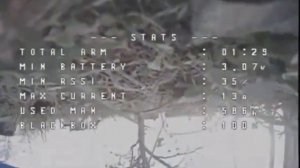 Кот лапой сбил FPV-Дрон ВСУ