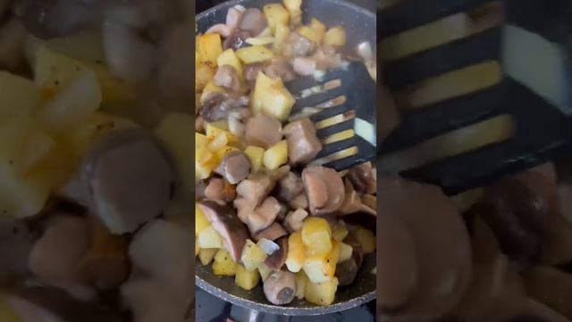 Что-то так картошечки жареной захотелось 🥔 с грибами 🧚🏻♂️ #garden #садоводство #огород #лето смотреть онлайн