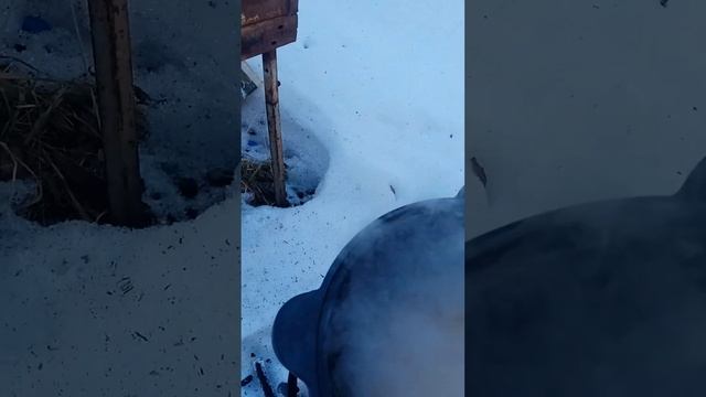 плов мужицкий #shorts смотреть онлайн