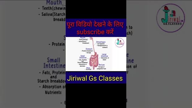 digestive system class 10th biology chapter1 Life Process