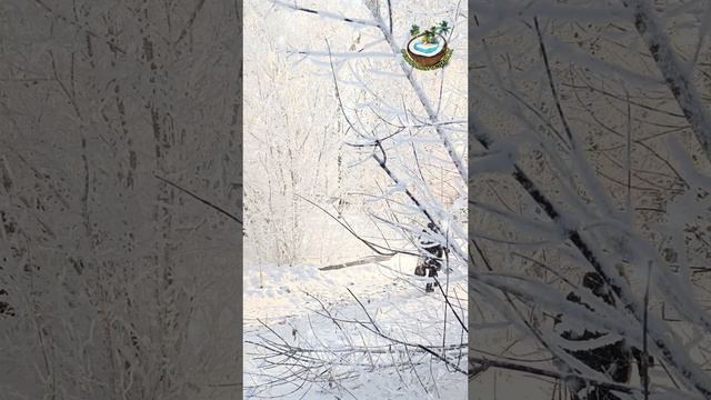 ❄ Зимнее волшебство ❄