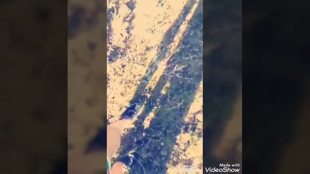 Клип Кислород