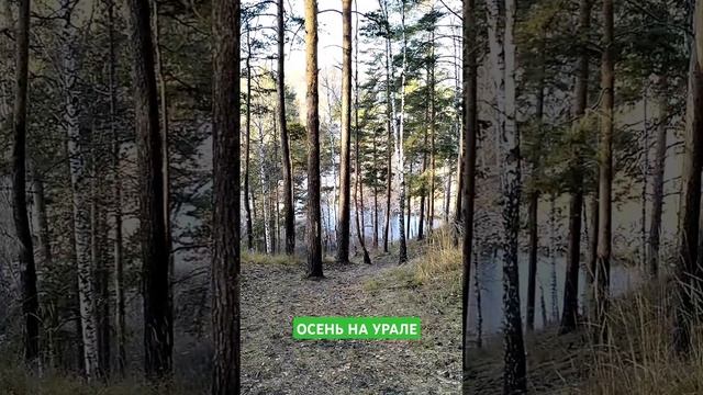 Кто любит Осень?