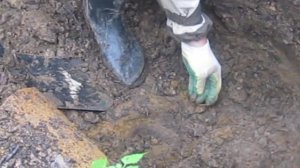 Раскопки блиндажа в районе Мясного Бора  День 1 часть 1