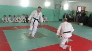 Муекван Дэхан Хапкидо