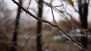 в поиске зимнего карпа| 24 часа в палатке  |  водоем Каневской | промо | 4К