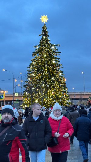 ВДНХ г. Москва. Атмосфера январь 2025 год