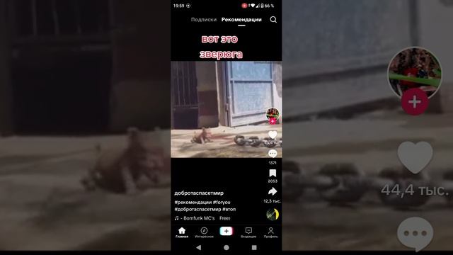 вот это зверюга смотреть онлайн